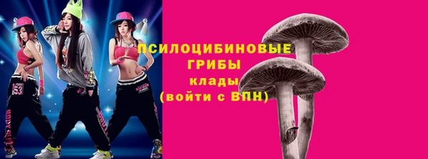 бошки Елизово