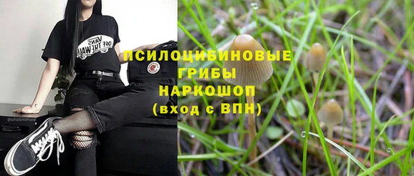 бошки Елизово
