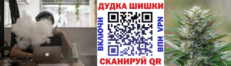 Купить где  Инза  Бошки марихуана сатива 